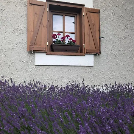 度假居 Thatched Dörgicse